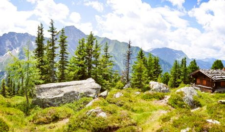 Wanderreise Zillertal – Aufstieg zur Greizer Hütte