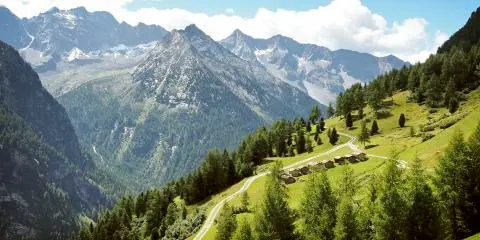 Titelbild für Bergbauern in Südtirol